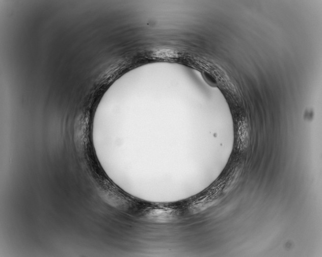 X0000103470364200810031525