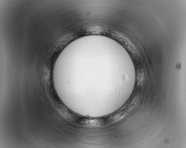 X0000103470365200810031525