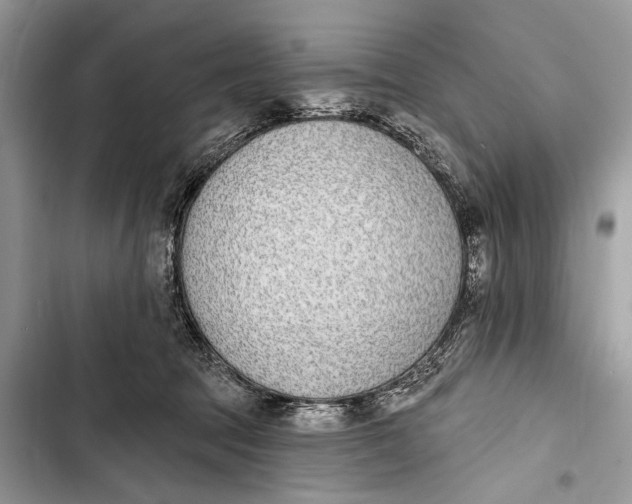 X0000103470369200810031525
