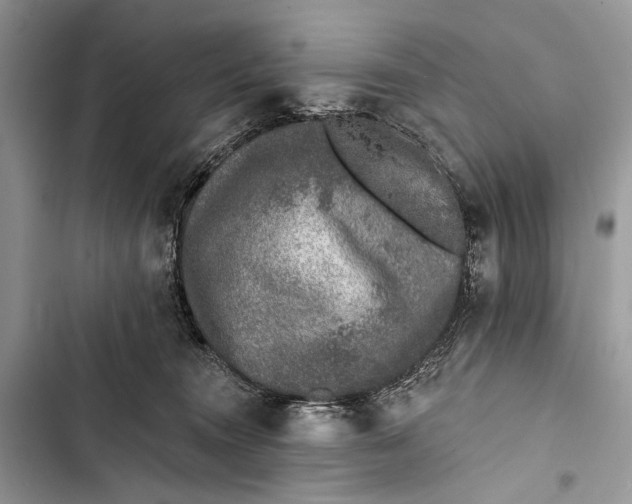 X0000103470372200810031526