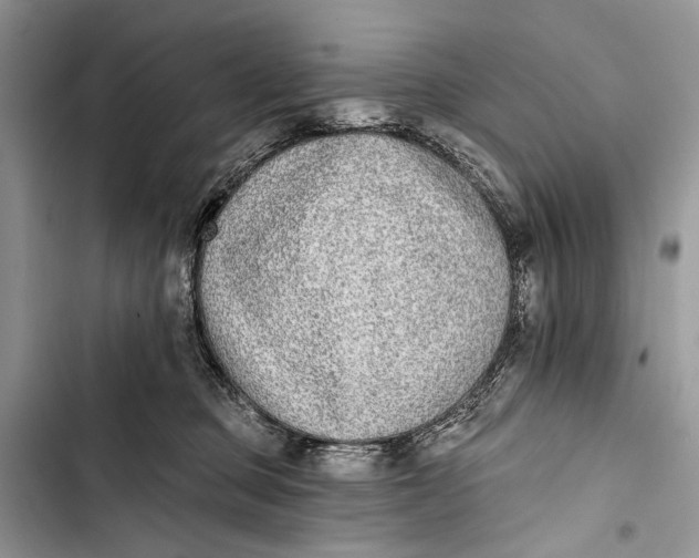 X0000103470373200810031526