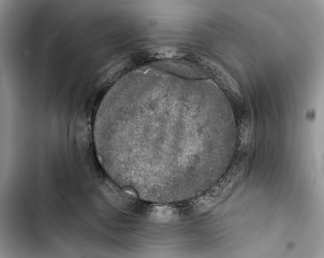 X0000103470376200810031526