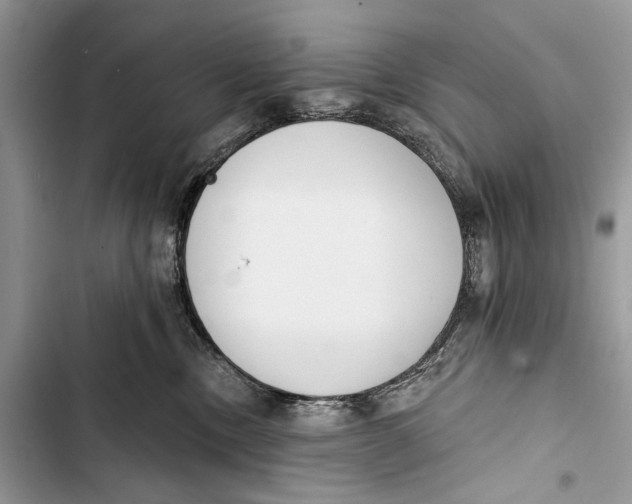 X0000103470378200810031526