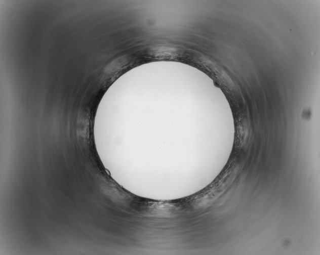 X0000103470379200810031526