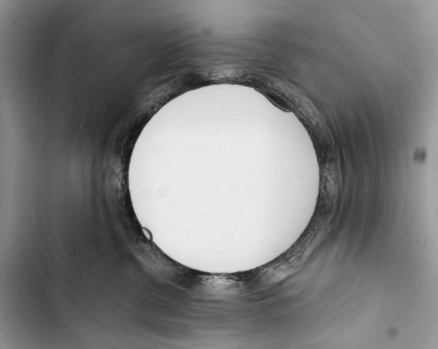 X0000103470380200810031526