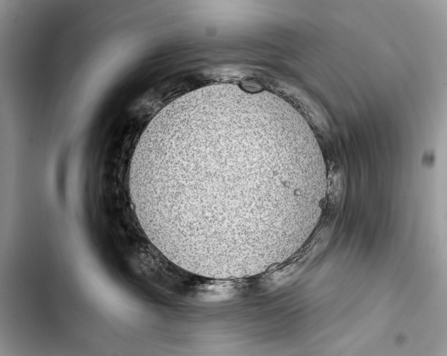 X0000103470381200810031526