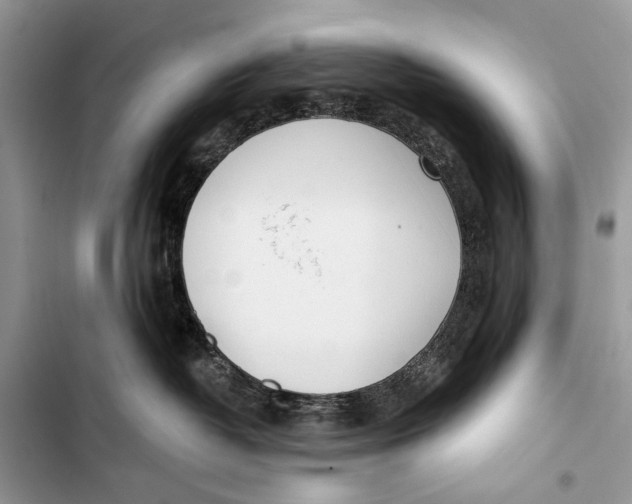 X0000103470382200810031526