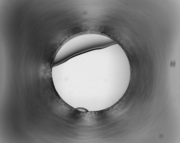 X0000103470384200810031526