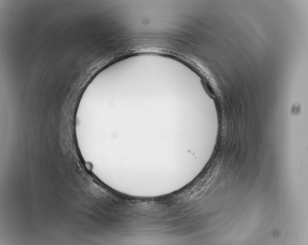 X0000103470385200810031525