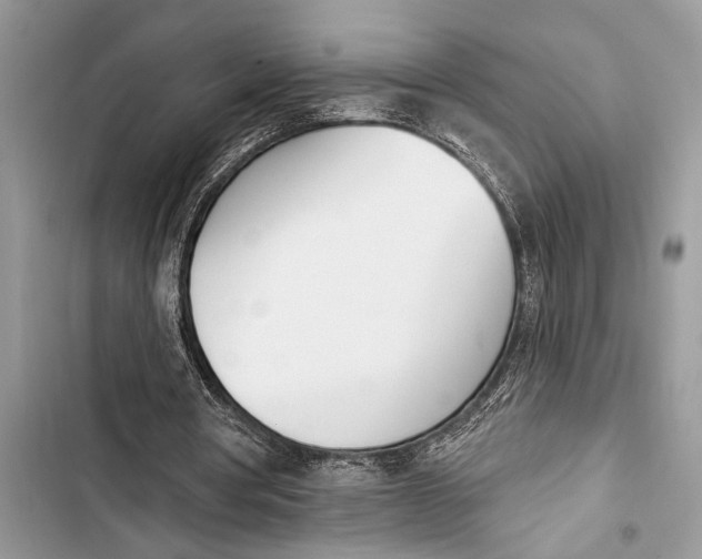 X0000103470386200810031525