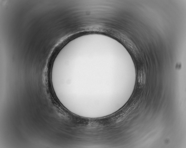 X0000103470388200810031525