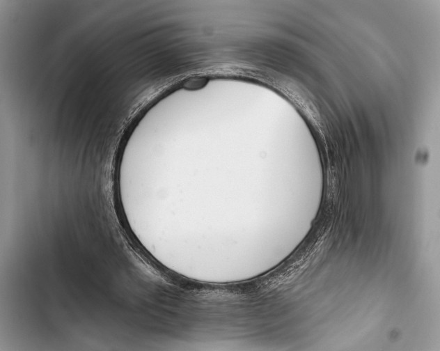 X0000103470389200810031525