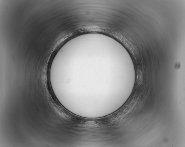 X0000103470390200810031525