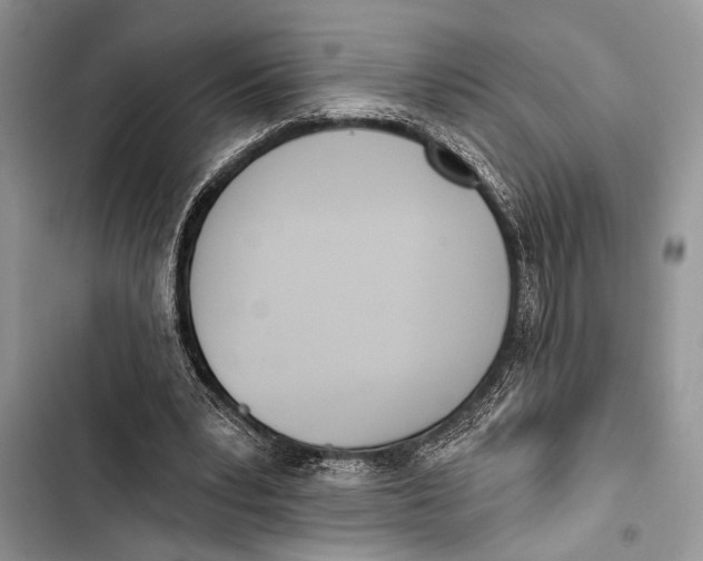 X0000103470391200810031525