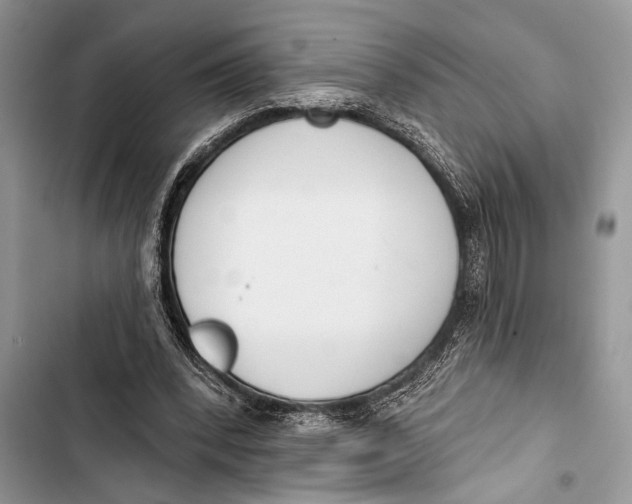 X0000103470392200810031525