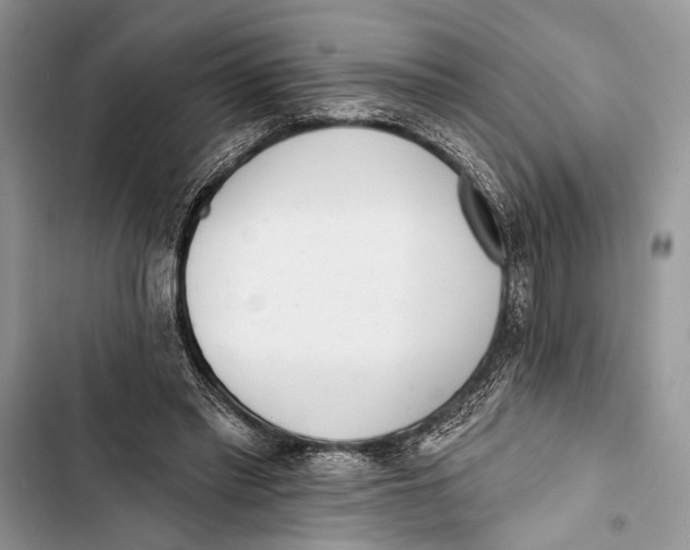 X0000103470397200810031525