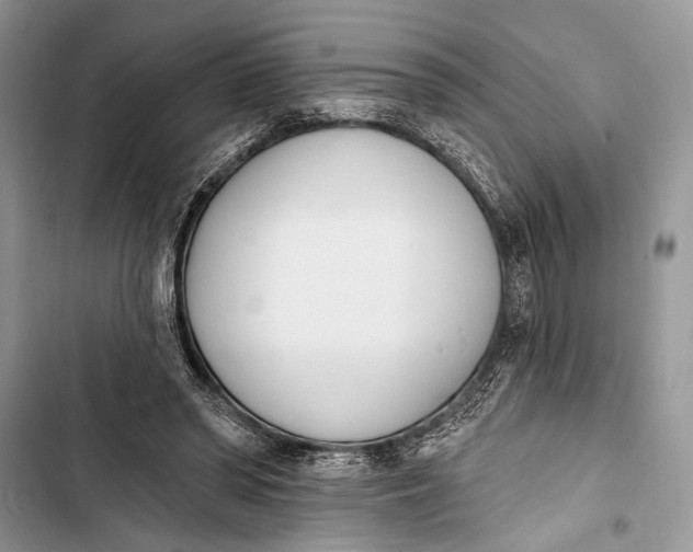 X0000103470398200810031525