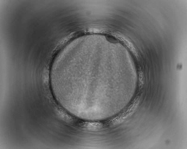 X0000103470401200810031525