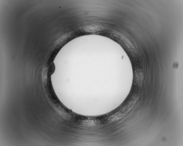 X0000103470404200810031525