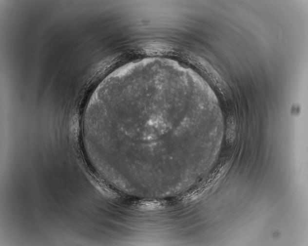 X0000103470405200810031525