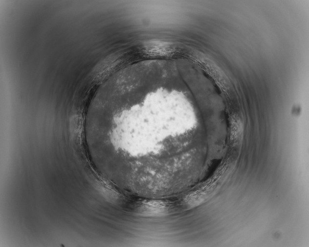 X0000103470409200810031525
