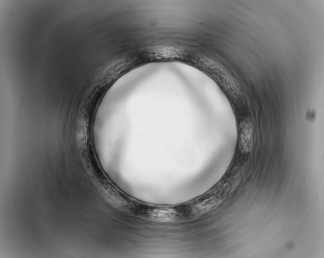 X0000103470410200810031525