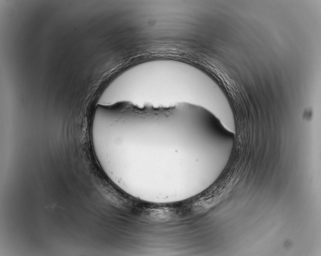 X0000103470411200810031524