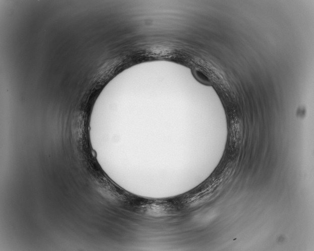 X0000103470412200810031524