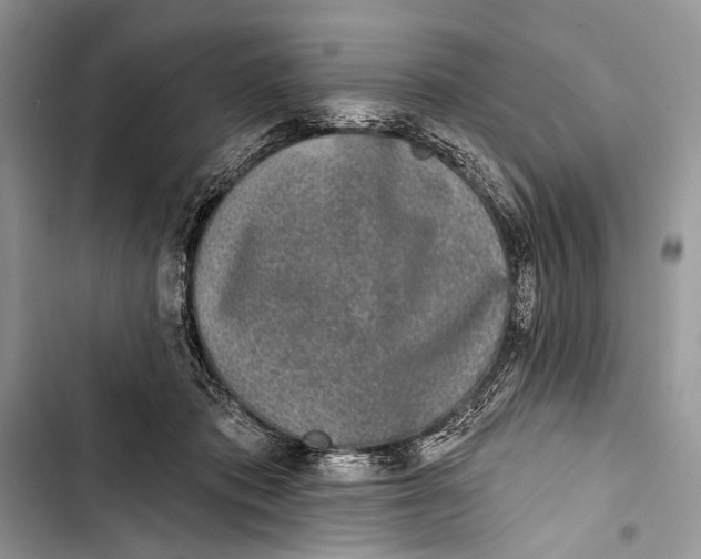 X0000103470413200810031524