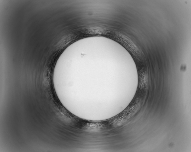 X0000103470414200810031524