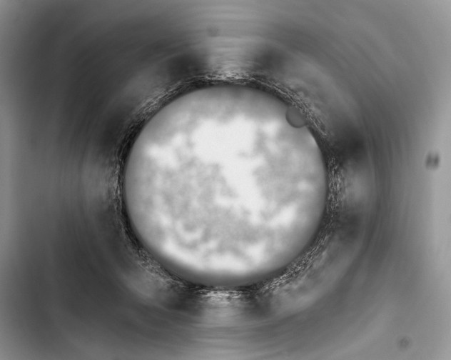 X0000103470415200810031524