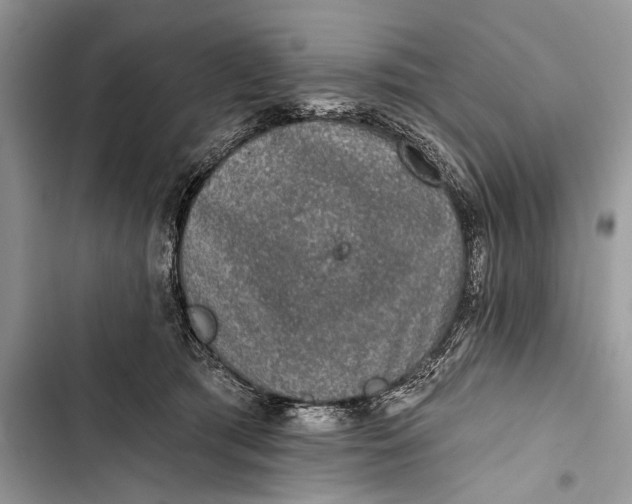 X0000103470417200810031524