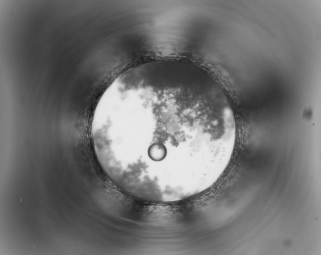 X0000103470419200810031524