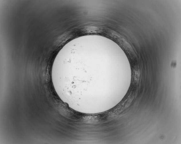X0000103470422200810031524