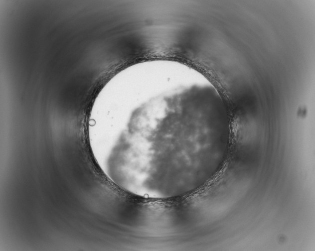 X0000103470423200810031524