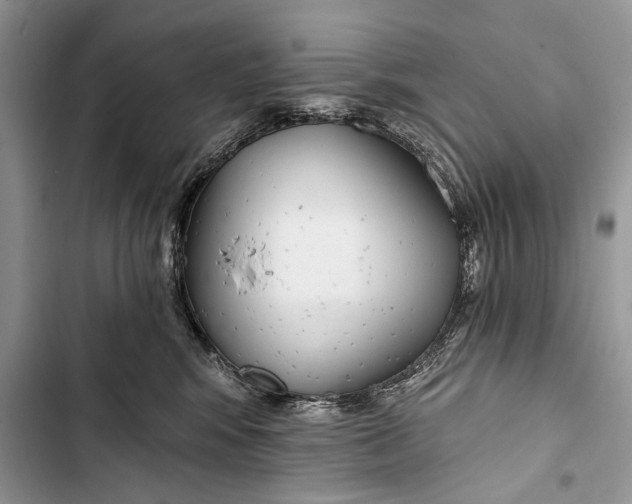 X0000103470424200810031524