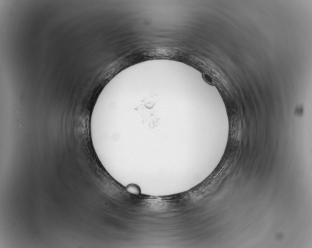 X0000103470425200810031524