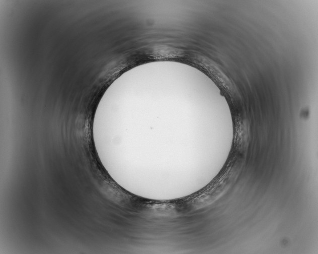X0000103470426200810031524
