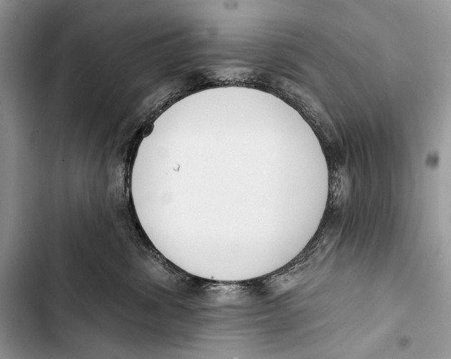 X0000103470428200810031524
