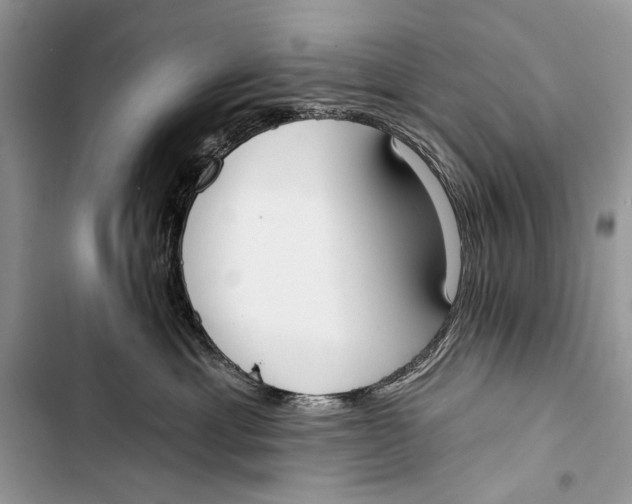 X0000103470429200810031524