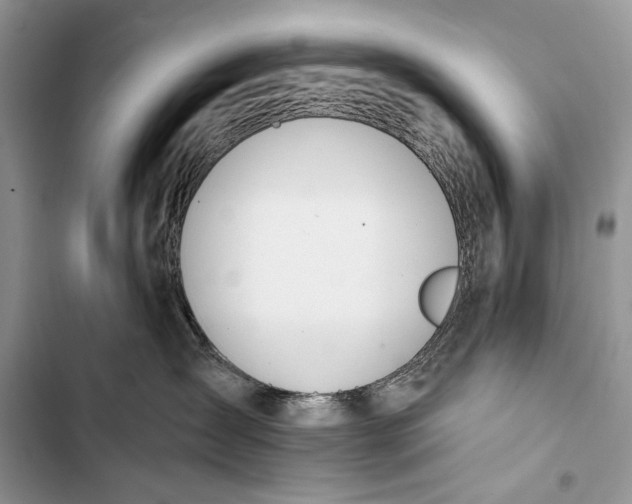X0000103470431200810031524