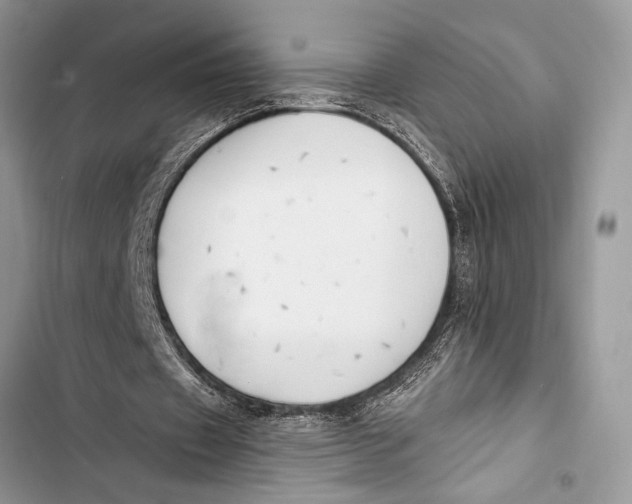 X0000103470433200810031524