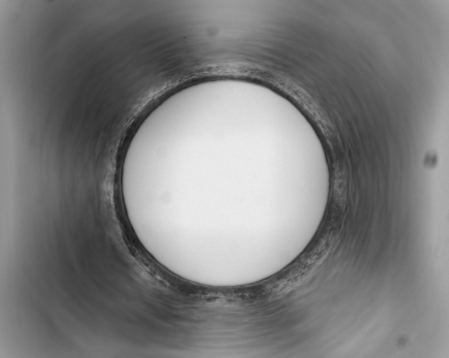 X0000103470434200810031524
