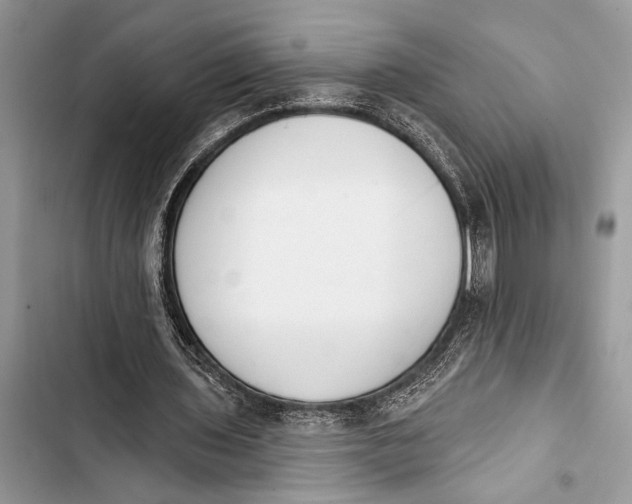 X0000103470435200810031524