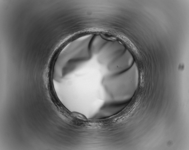 X0000103470436200810031524
