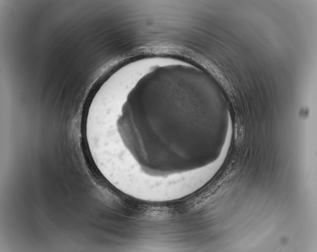 X0000103470438200810031524