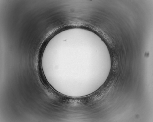 X0000103470440200810031524