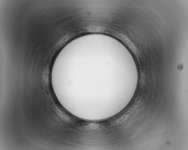 X0000103470441200810031524
