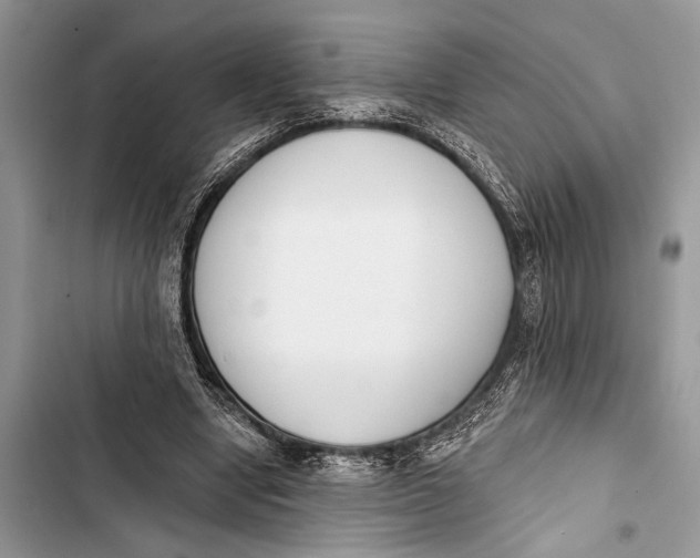 X0000103470442200810031524