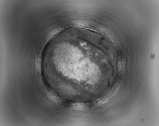 X0000103470444200810031524